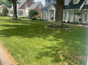 Terry B.'s Yard Cutting service result