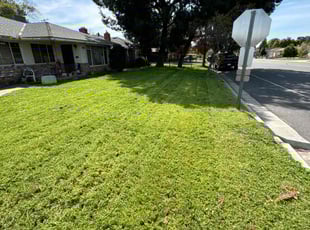 Georganne T.'s Lawn Mowing Service service result