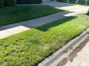 Donna P.'s Grass Cutting service result