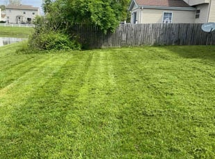 Jermel W.'s Lawn Care service result