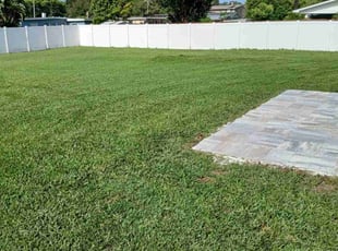 Hector H.'s Lawn Care service result