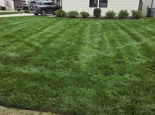 Janet W.'s Lawn Care service result