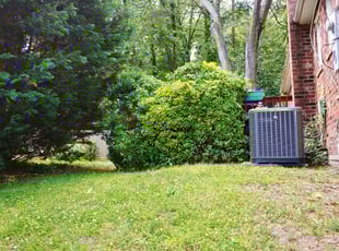 Bush Trimming by Chris Thomas for Kyle A. in Richmond, VA