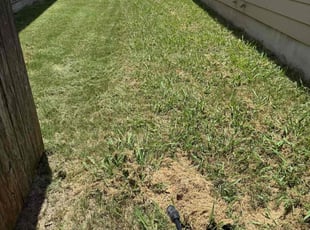 Weeding by Alejandro Colchado for Everett S. in Leander, TX