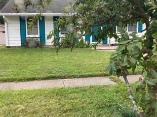 Marilynn H.'s Lawn Service service result
