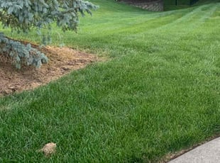 Sterling U.'s Yard Cutting service result
