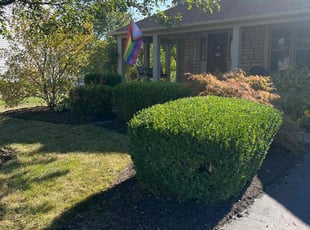 Bush Trimming by Robert Roach for Joe C. in Grove City, OH