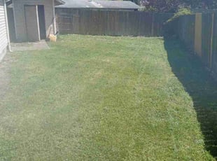 Michelle W.'s Yard Cutting service result