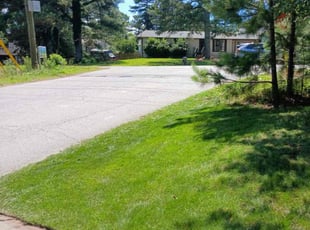 Susan H.'s Lawn Maintenance service result