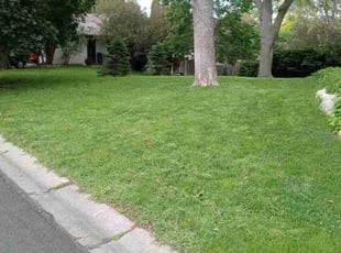 Caroline L.'s Lawn Service service result