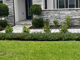 Chris C.'s Lawn Mowing service result