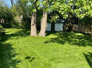 Gary G.'s Lawn Mowing service result