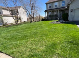 Sara M.'s Lawn Mowing service result