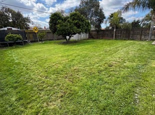 Frances V.'s Lawn Care service result