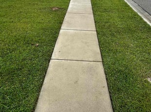 Capricia L.'s Lawn Maintenance service result