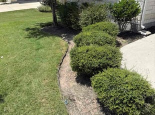 Weeding by Joshua Benouis for Zack M. in Pflugerville, TX