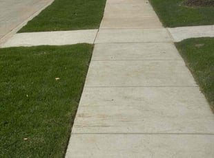 Patricia P.'s Yard Cutting service result