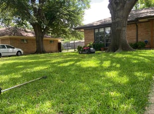 Bush Trimming by Shameem Mohmand for Mary Anne M. in Grand Prairie, TX