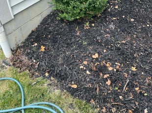 Weeding by Alex Sanner for Lena S. in Reynoldsburg, OH