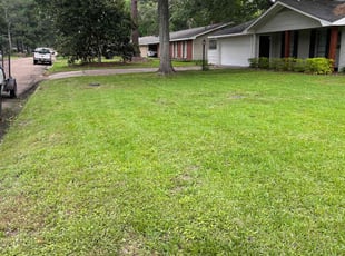 Patridia H.'s Lawn Maintenance service result