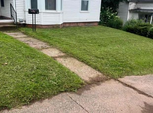 Ken L.'s Lawn Care service result
