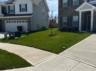 Thad H.'s Lawn Service service result