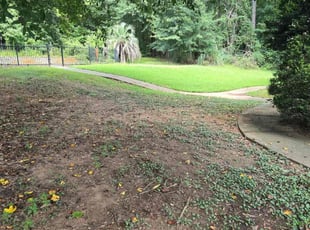 Weeding by Julius Snipes for Brandi G. in McDonough, GA