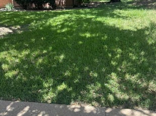 Christine M.'s Lawn Care service result