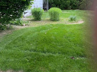 Bush Trimming by Marcus Williams for Roderick V. in Maple Heights, OH