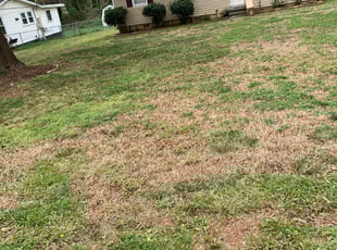 Leaf Removal by Brian Sims for Matthew B. in Charlotte, NC