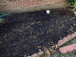 Jesse W.'s Landscaping service result