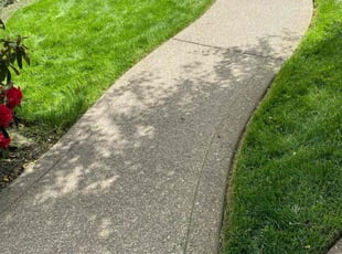 Diana W.'s Lawn Service service result