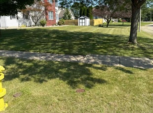 Trey C.'s Lawn Care service result
