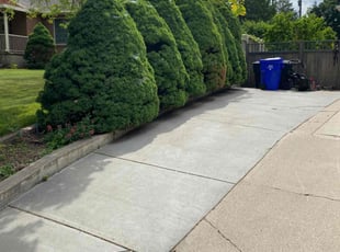 Bush Trimming by Andrew Brisk for Brenda R. in Bountiful, UT