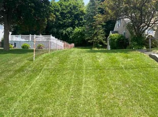 Devenia M.'s Lawn Service service result