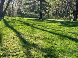 Linda M.'s Grass Cutting service result