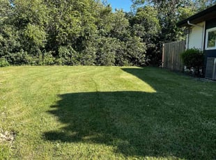 Sharonda W.'s Grass Cutting service result