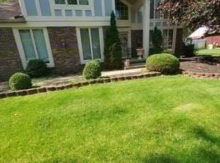 Bush Trimming by Matt Dillion for Abe R. in Westlake, OH
