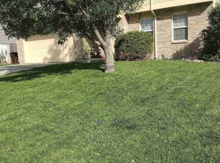 Cleanups by Wali Bowlds for Taylor S. in Colorado Springs, CO