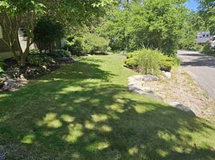 Dan B.'s Lawn Care service result