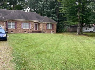 Samantha B.'s Lawn Mowing service result
