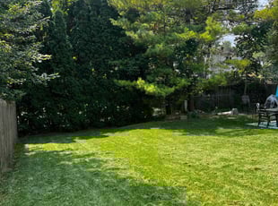 Sherry B.'s Lawn Maintenance service result