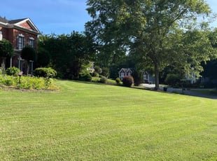 Nikki M.'s Lawn Care service result