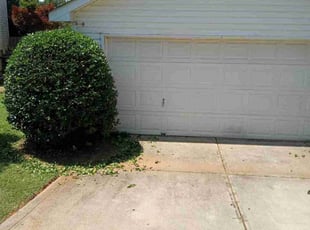 Bush Trimming by Damion Forney for Jessica B. in Charlotte, NC