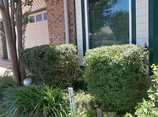 Bush Trimming by Alba Chacon Galdamez for Georgia W. in Round Rock, TX