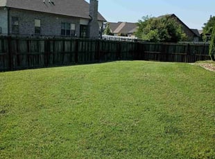 LaTosha G.'s Lawn Mowing Service service result