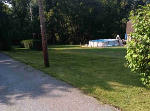 Diane J.'s Lawn Care service result