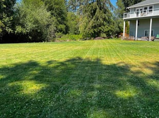 Alfredo G.'s Lawn Mowing Service service result
