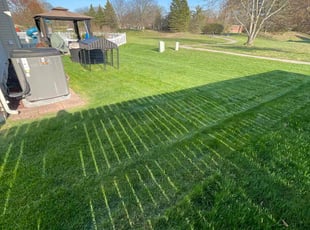 Katie F.'s Lawn Maintenance service result