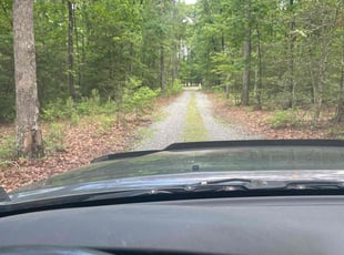 Weeding by Arlen Dranoff for Darren H. in Mechanicsville, VA